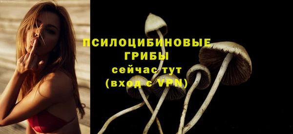 герыч Медногорск