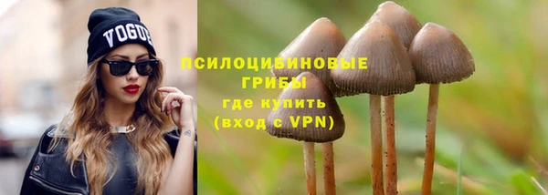 герыч Медногорск