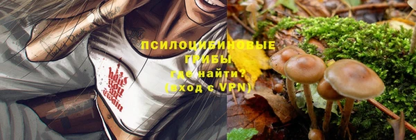 герыч Медногорск